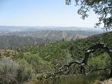 Pinnacles NM 10